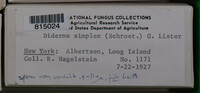 Image Associated With the Occurence